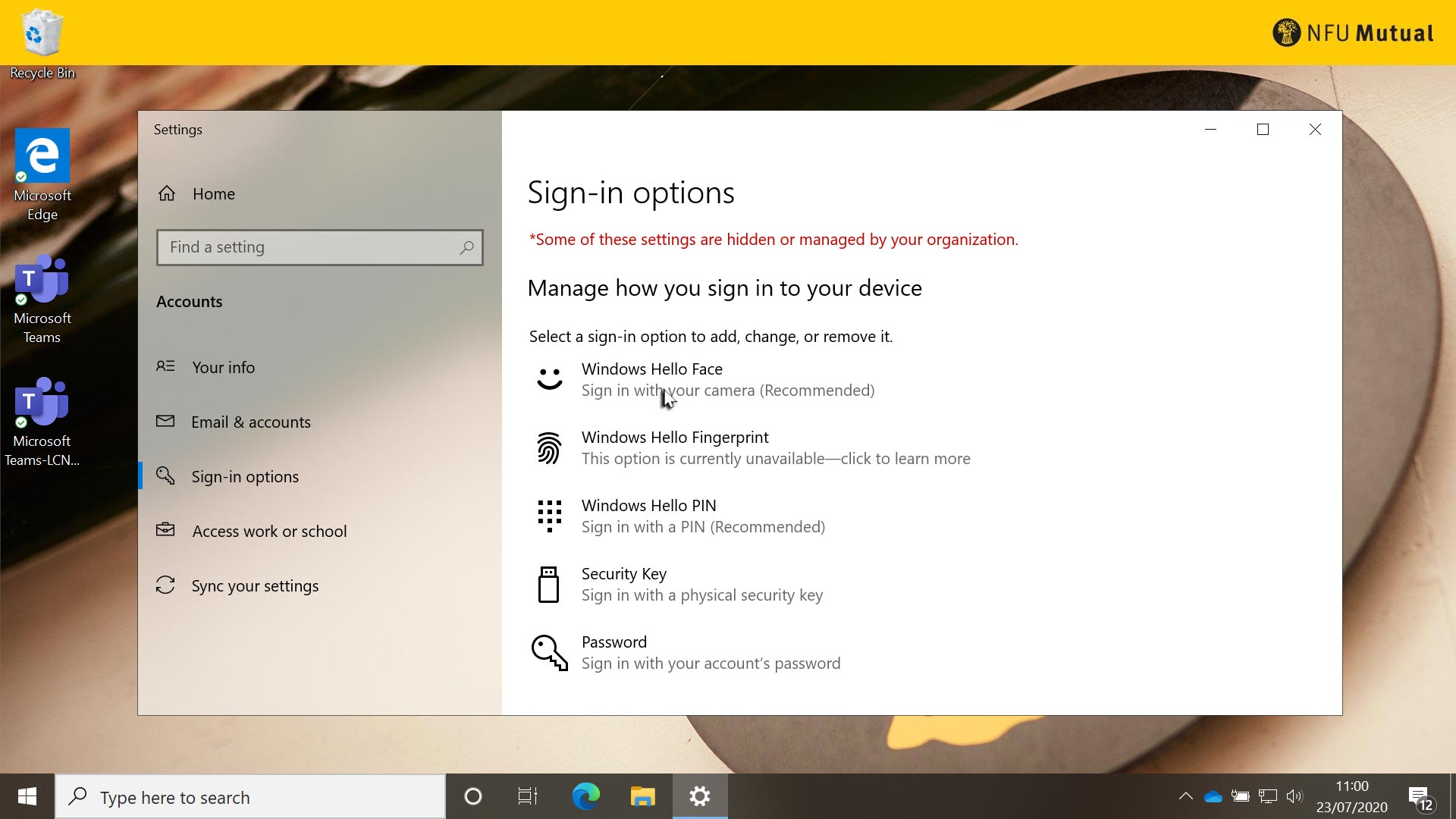 Sign in options settings dialogue box
