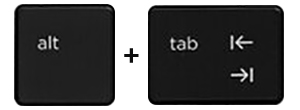 The Alt and Tab keyboard keys