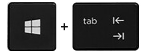 The Wndows and Tab keyboard keys